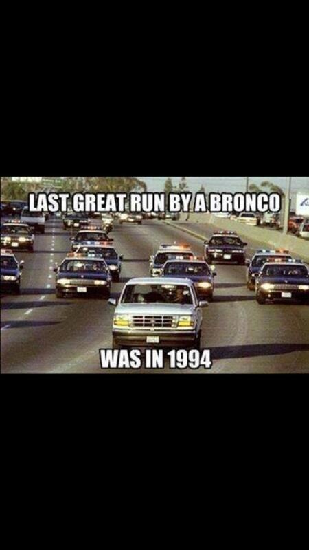 bronc