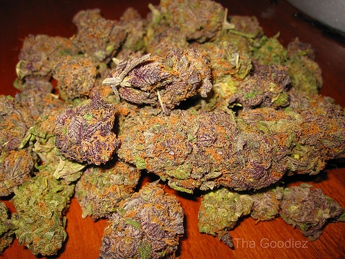 weed