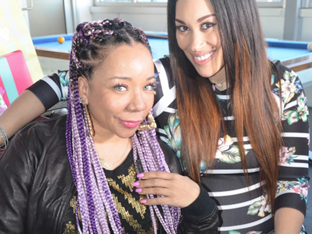 TinyPurpleBraids-1422475206