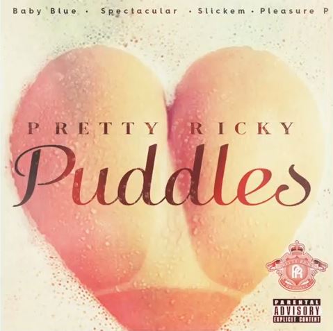 pretty-ricky-puddles
