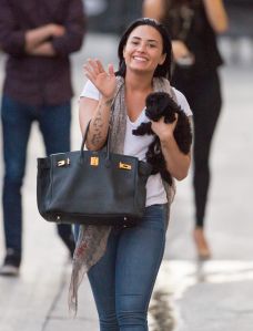 Demi Lovato