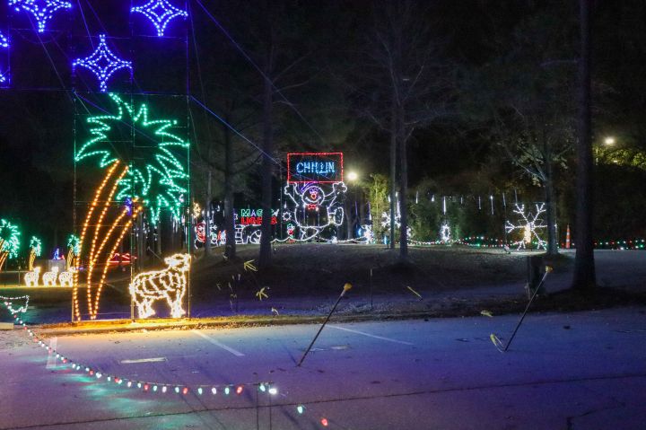 Magic of Lights